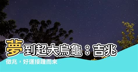 夢到超大烏龜|夢到烏龜的吉兆：解讀夢境，迎好運 